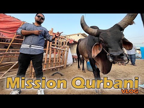 Mission Qurbani | VLOG | Faisal Iqbal