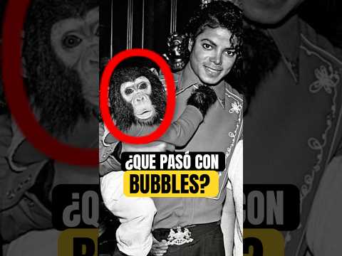 ¿Qué pasó con BUBBLES?🙉El Chimpancé de Michael Jackson‼️#michaeljackson #michael