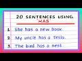 Describing Possessions and Features