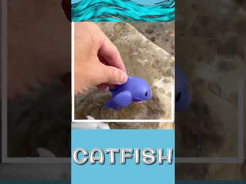 Sea Creature Sensory Water Play!  #KidsLearning