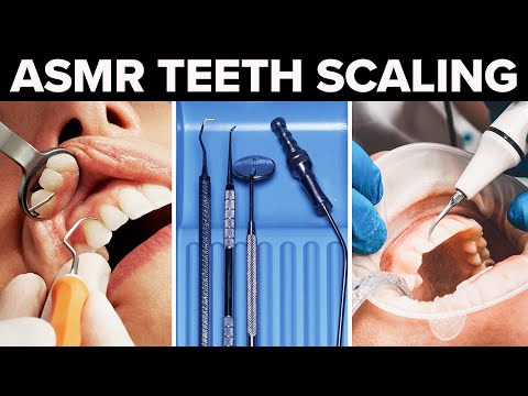 ASMR Dentist Cleans Your Teeth