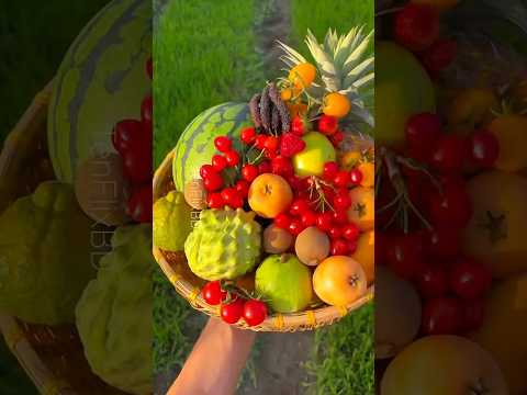 Do These 4 Things During Pregnancy for a Healthy & Glowing Baby! 🤰🍊🥥 #fruit #farming #shorts #facts