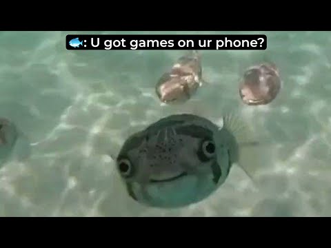 sea memes & funny moments for sea enthusiast 😂