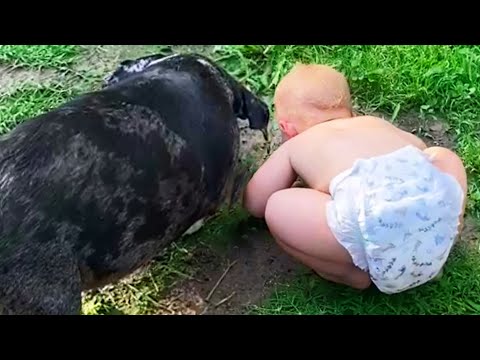 We Are Best Friends - Funny and Cute Babies Playing With Dogs || Cool Peachy