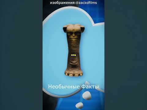 🐘👨‍🦯 Три слепых и слон —  мудрая притча ✨🧠