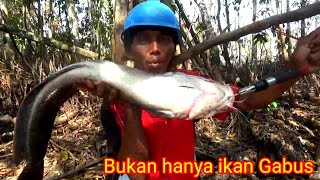 Sekali sambar umpan pancing langsung putus