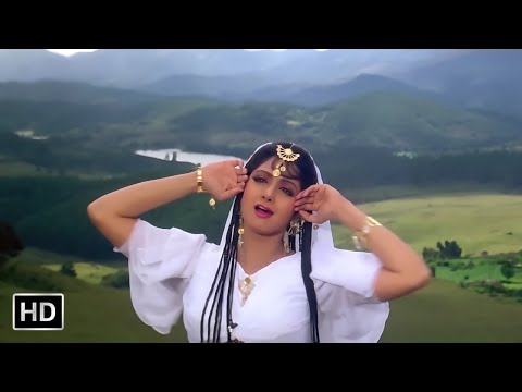 Teri Banjaran Rasta Dekhe | Banjaran (1991) | Rishi Kapoor | Sridevi | Alka Yagnik | Evergreen Songs