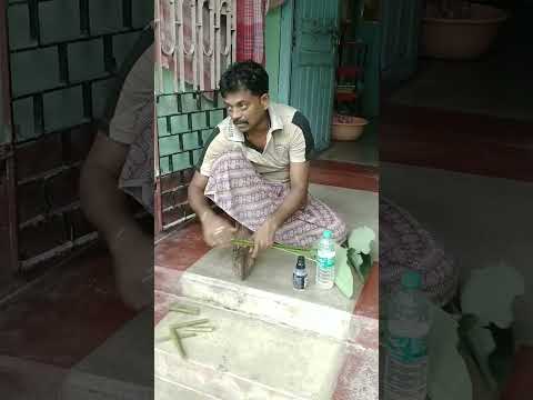 #shorts#comedy#mastersantu