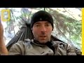 Understanding Electric Bear Fences and Narrator's Experiences