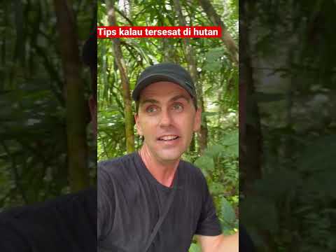 TIPS kalau TERSESAT di hutan ! #borneo #kalimantan