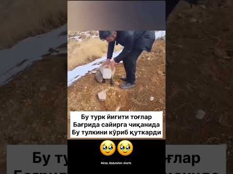 Sierra chiqqan eight talking qutqardi.❤️🩹😇tiktok #uzb #dard1sarim #reels #top #million