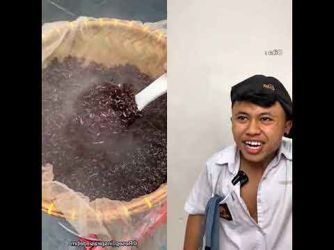 samsul part 1