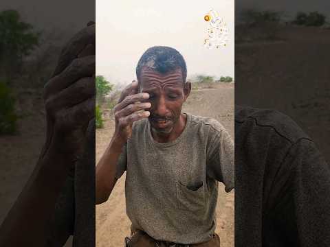 حلاوة العيد