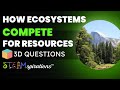 Ecosystem Interactions and Competition