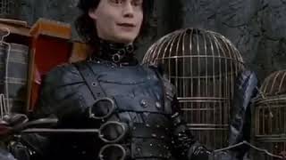 Johnny Depp (Tourner Dans Le Vide)