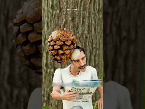 Mans Skull Crushed By 16-Pound Pine Cone 😨 #shorts #shortvideo #ytshorts #facts