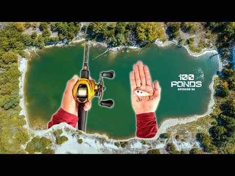 Fishing Abandoned Quarry Pond For Late Summer Bass (100 Ponds Ep. 53)