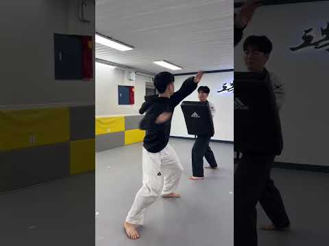 Back Kick ASMR ️Volume Up .#태권도 #발차기 #겨루기 #태권도입시#tkd #taekwondo #kicks #kyorugi#뒤차기 #backkick #short