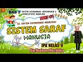 Sistem Saraf dan Fungsinya