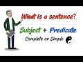Understanding Sentence Structure and Grammar