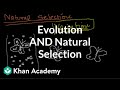 Exploring Evolution and Natural Selection Concepts