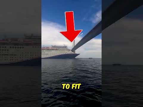 The Ship Hit The Bridge..😨🚢