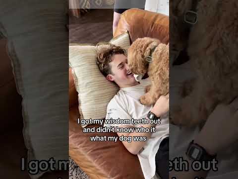 Daily Dose of Anesthesia #usa #funny #shorts #ansethesia #foryou #viral #newsong