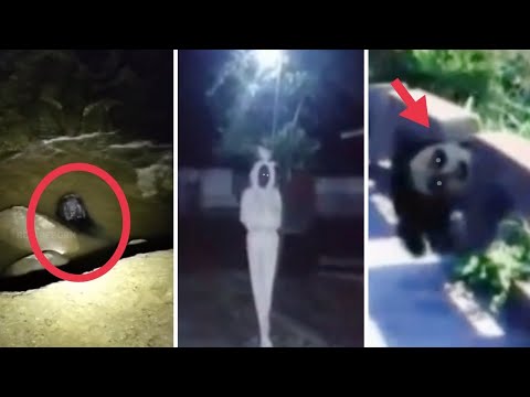 7 PENAMPAKAN HANTU TERSERAM DAN KEJADIAN HOROR YANG BIKIN MERINDING - Creepy Video