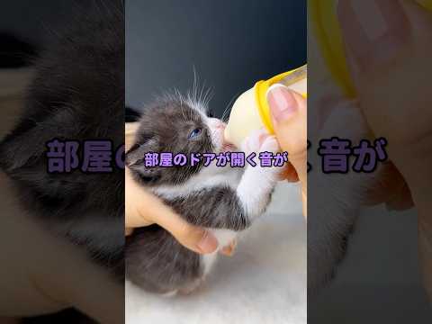 【2ch怖い話】メンヘラ彼女に別れ話をした結果