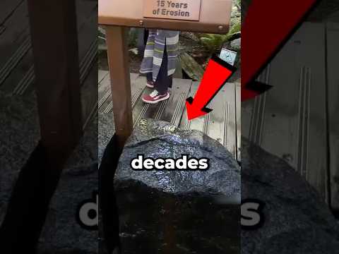 Water Has Been Dripping For Years