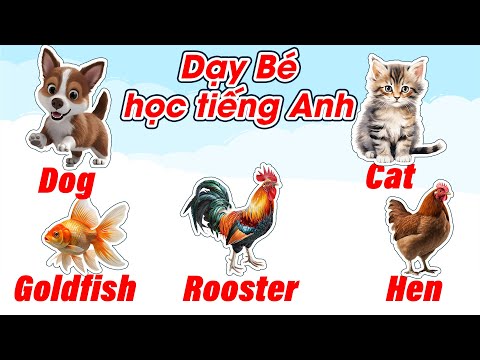 Dạy bé học tiếng anh qua các con vật hoạt hình / Dạy bé tập nhận biết tên các con vật