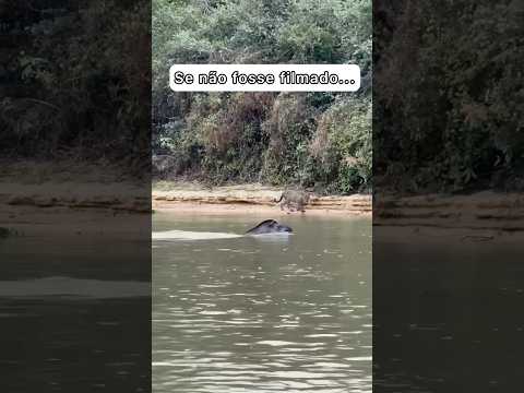 Se não fosse gravado ninguém acreditava 😱