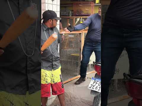 2 de novembro de 2025