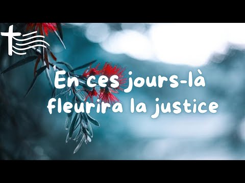 Parole et Évangile du jour | Mardi 17 décembre • S'enraciner pour fleurir !