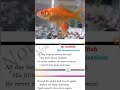 Understanding the Poet's Goldfish