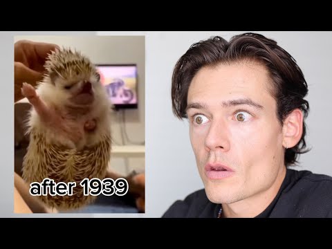 German Reacts to Nazi Memes