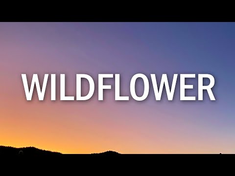 5 Seconds of Summer - Wildflower (Lyrics)