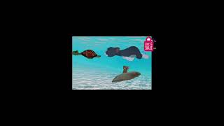 Tom and jerry | swimming