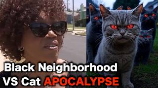 Stray Cats TAKEOVER Black Neighborhood