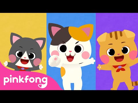 The Kitty Song | Dance Along | Meow Meow Meow | Animal Song | Pinkfong Songs for Children