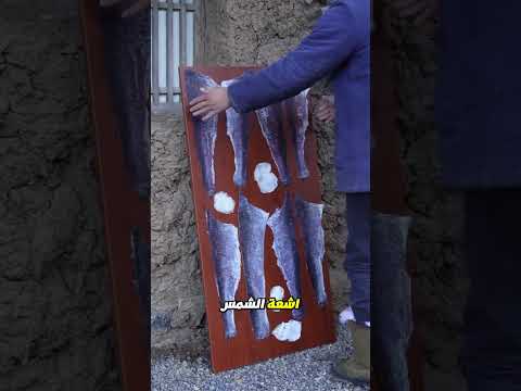 كيف تحوّل جلد السمك إلى ملابس تقاوم البرد القارس؟