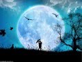 Dalmau Gonzalez. Obsessió lunar. Miquel Ortega. Obrázok autora