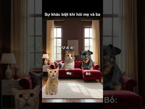 sự khác biệt khi hỏi mẹ và bố #funnycats #catmemes #memes