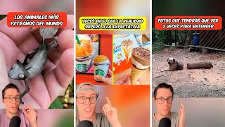 Expectativa vs Realidad 👀 | Recopilación Mejores Videos Marco Sander
