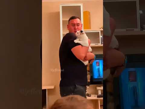 #shortvideo #funny #funnypetschannel #funnyanimals #funnypetslife #cat #funnycats #pets