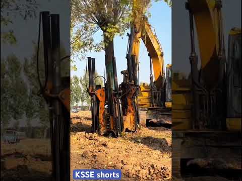 Excavator Tree Transplant in Action 🌳💪Watch how heavy machinery moves giant trees with precision