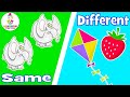 Exploring Same and Different Concepts for Kids