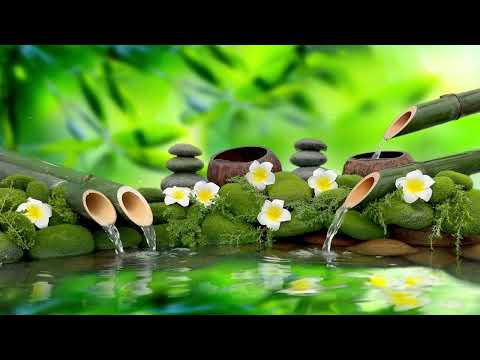 Relaxing Spa Music 27/7 || Meditation, Sleep Music, Healing, Stress Relief, Yoga, Zen, Waterfall