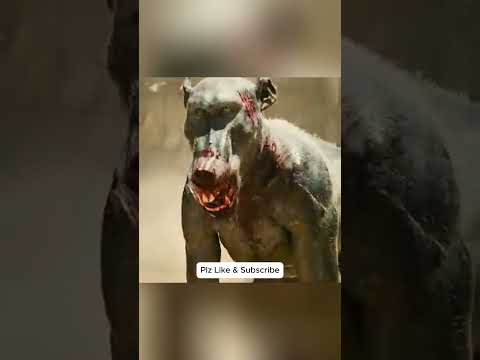 واجه الصياد الفريسة التي تبين أنها وحش.#shorts