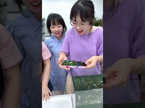 Office Challenge Scooping Marbles for Money and a Gold Bar!